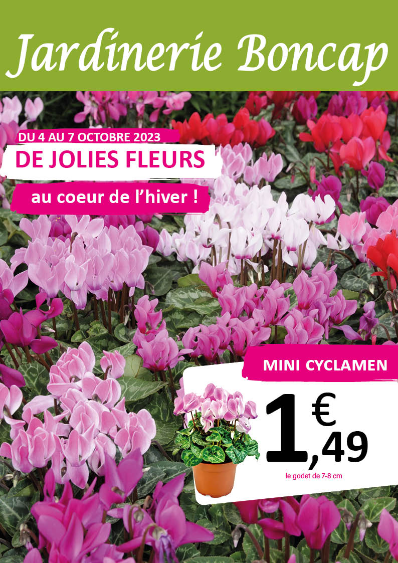 Boncap Boncap Orthez Jardinerie | Boncap Catalogue – MSBA
