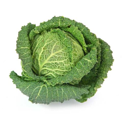 Boncap Chou frisé - Jardinerie BONCAP