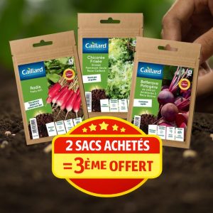 Graines potagères Caillard